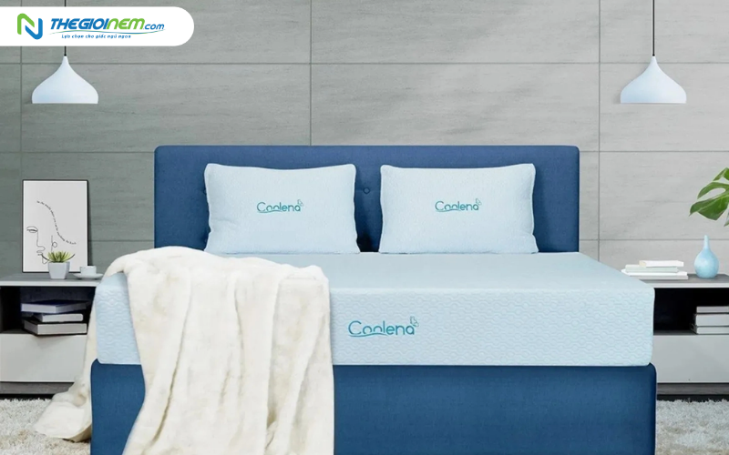 Nệm foam Edena Coolena
