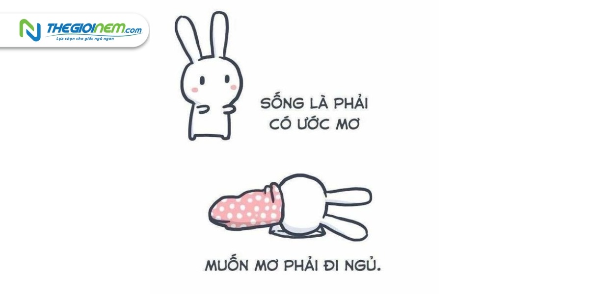 Top 20+ ảnh meme chúc ngủ ngon độc đáo