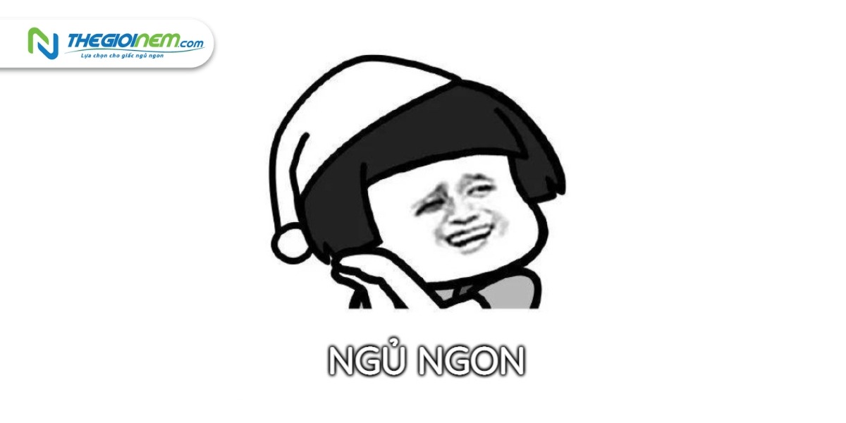 Top 20+ ảnh meme chúc ngủ ngon độc đáo
