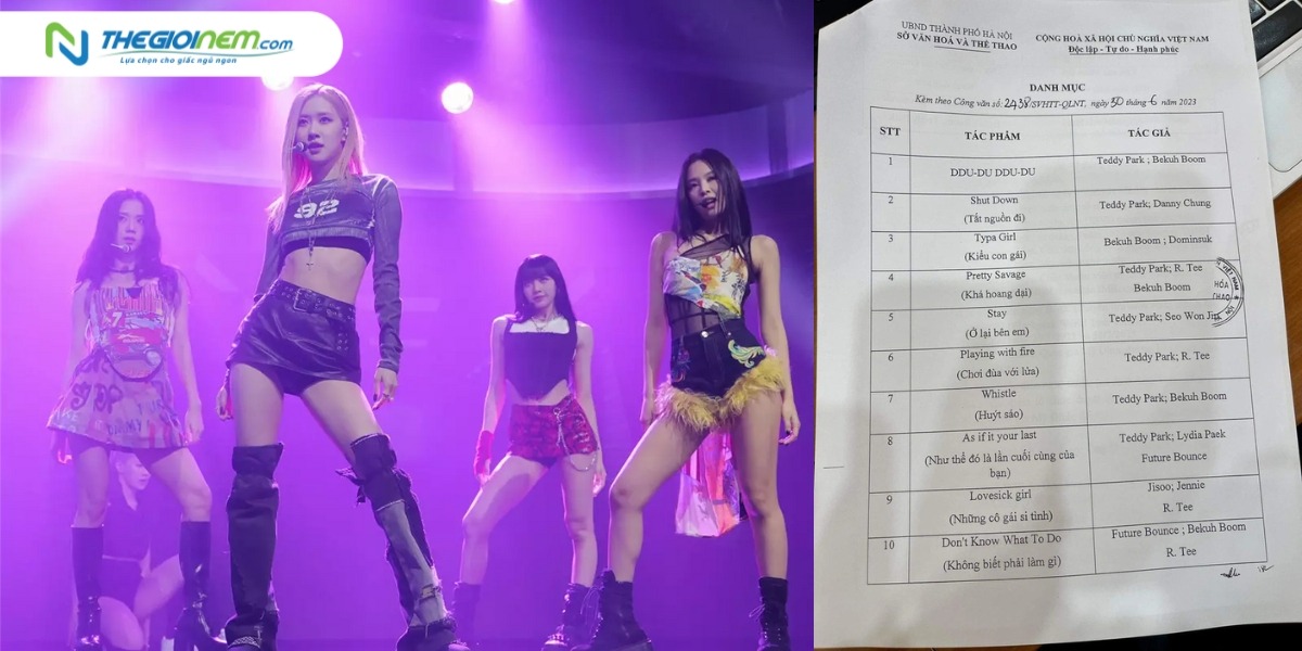 Trang web mua vé concert Blackpink, cách mua vé concert Blackpink