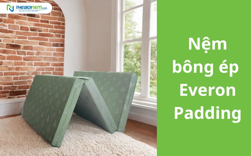 Bảng Giá Nệm Bông Ép Everon Khuyến Mãi 4