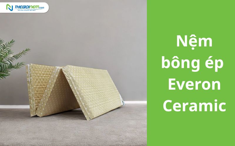 Bảng Giá Nệm Bông Ép Everon Khuyến Mãi 5