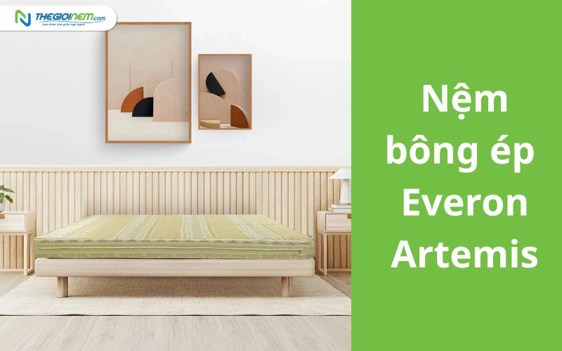 Bảng Giá Nệm Bông Ép Everon Khuyến Mãi 6