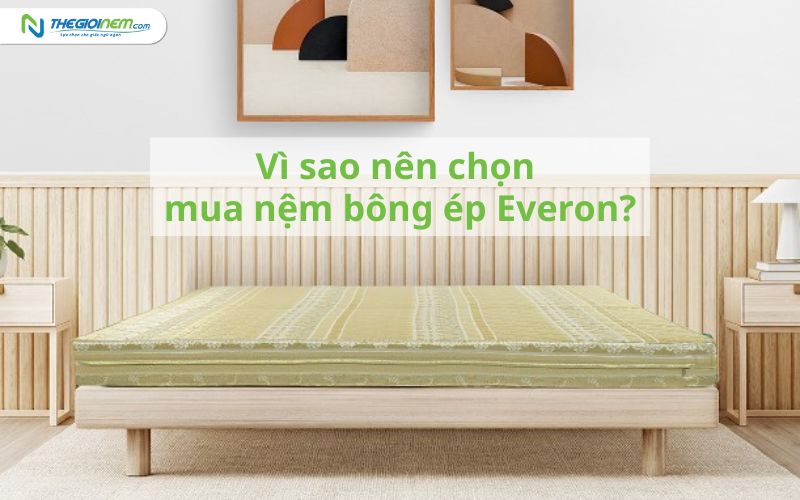 Bảng Giá Nệm Bông Ép Everon Khuyến Mãi 6