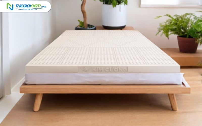 Cửa Hàng Bán Nệm Cao Su Kim Cương Tại Củ Chi