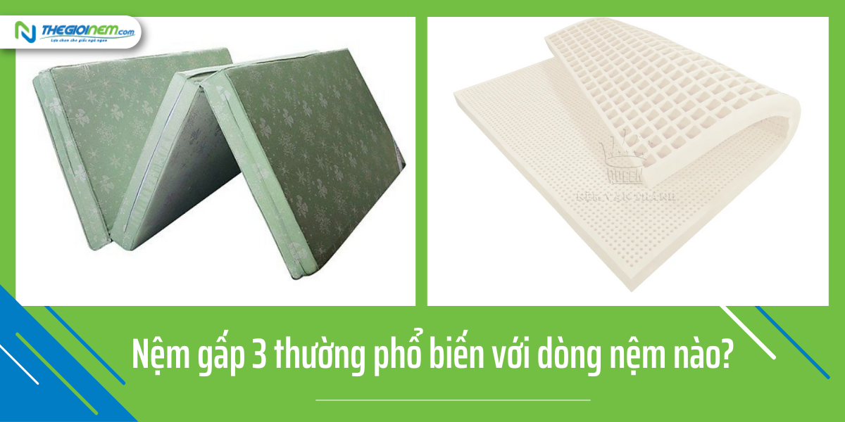 Cửa Hàng Bán Nệm Gấp 3 Giá Rẻ Tại Đức Hòa - Long An