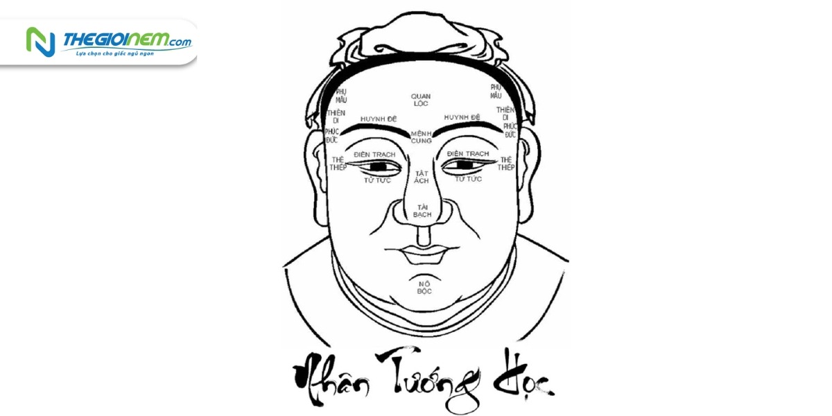 Khám phá bí ẩn về tính cách và sự nghiệp qua nhân tướng học
