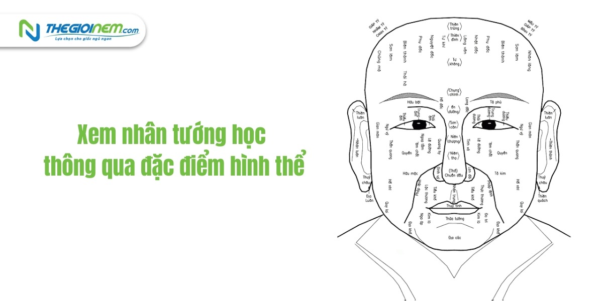 Khám phá bí ẩn về tính cách và sự nghiệp qua nhân tướng học