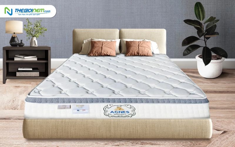 Nệm Kim Cương 1mx2m Giá Bao Nhiêu? - Thegioinem.com