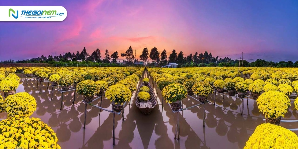 Top 5 làng hoa Tết 2023 rộn ràng đón khách
