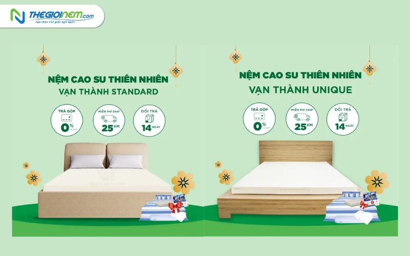 Địa chỉ cửa hàng bán nệm cao su Vạn Thành giá rẻ tại Tiền Giang