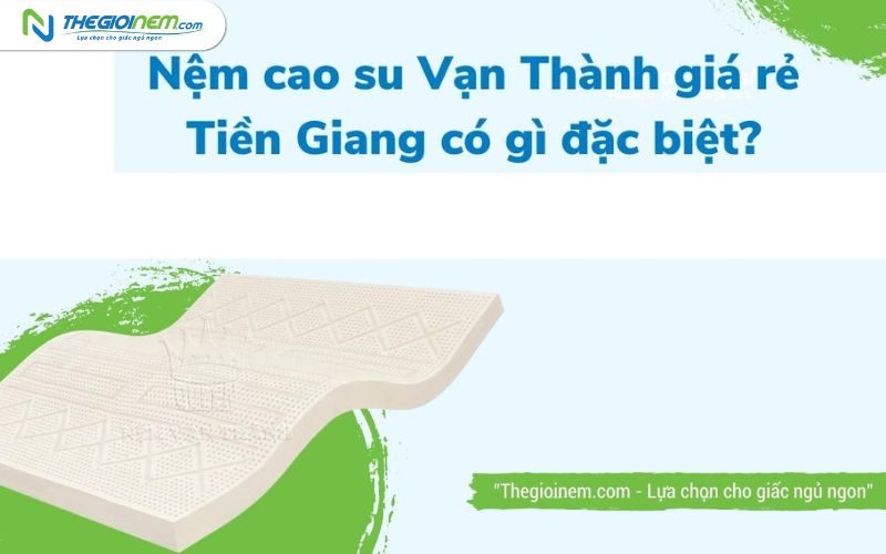 Địa chỉ cửa hàng bán nệm cao su Vạn Thành giá rẻ tại Tiền Giang