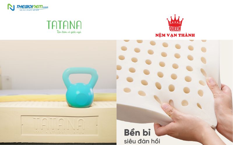 Độ đàn hồi của nệm cao su TATANA và Vạn Thành