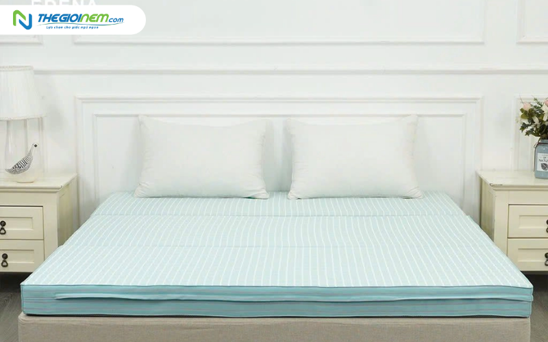Nệm bông ép Edena chần gòn