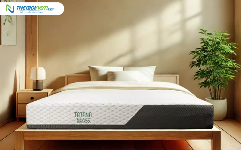 Nệm foam Luna Cool TATANA