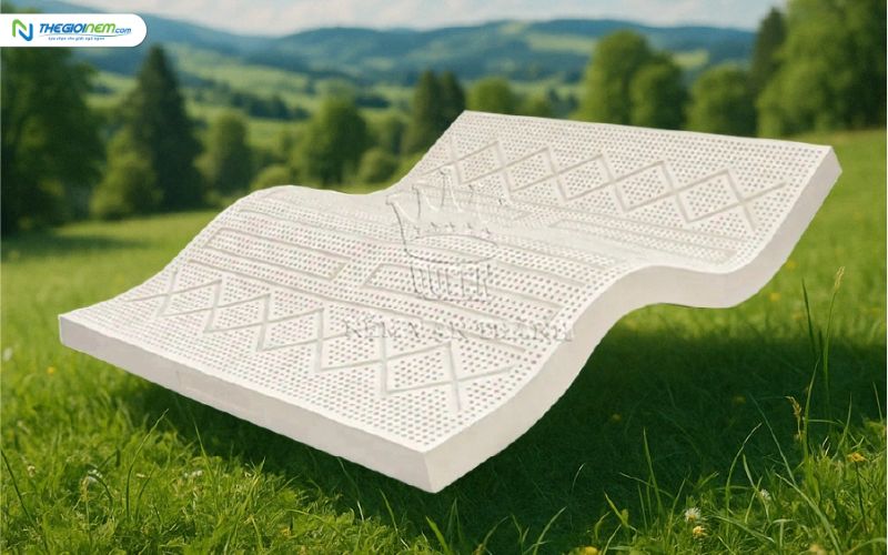 Top nệm cao su Vạn Thành bán chạy 2023