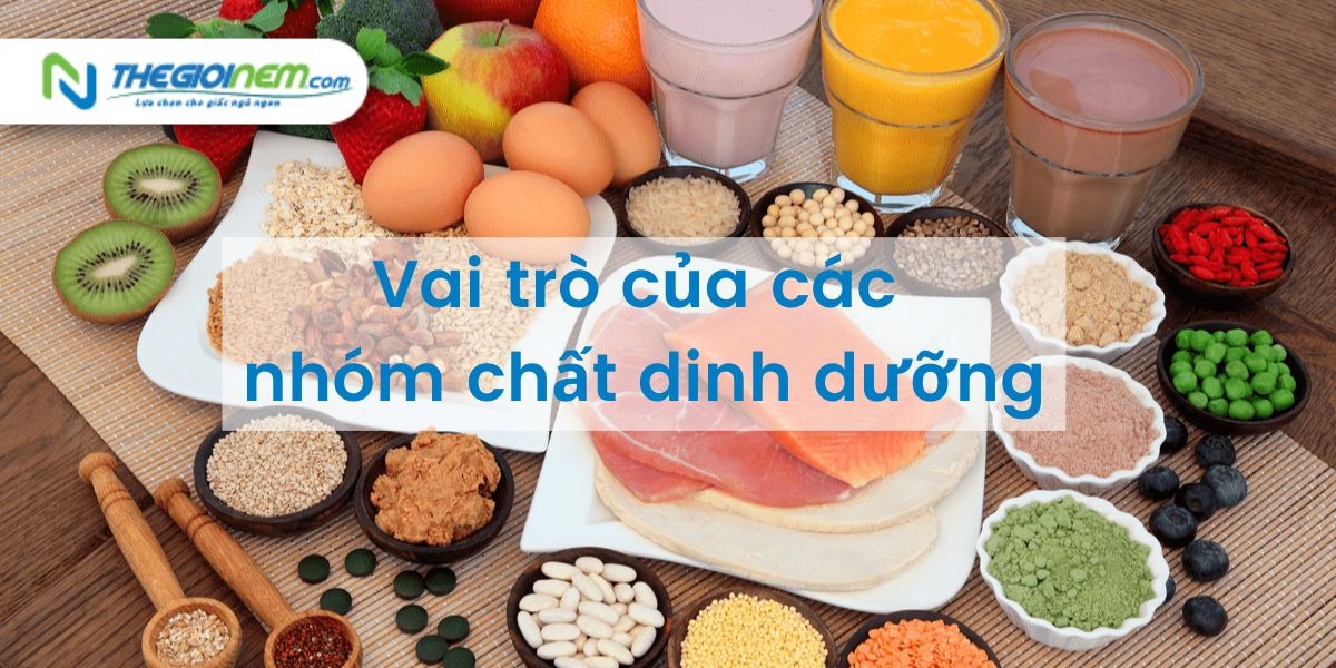 Bật mí các nhóm chất dinh dưỡng tốt cho sức khỏe con người