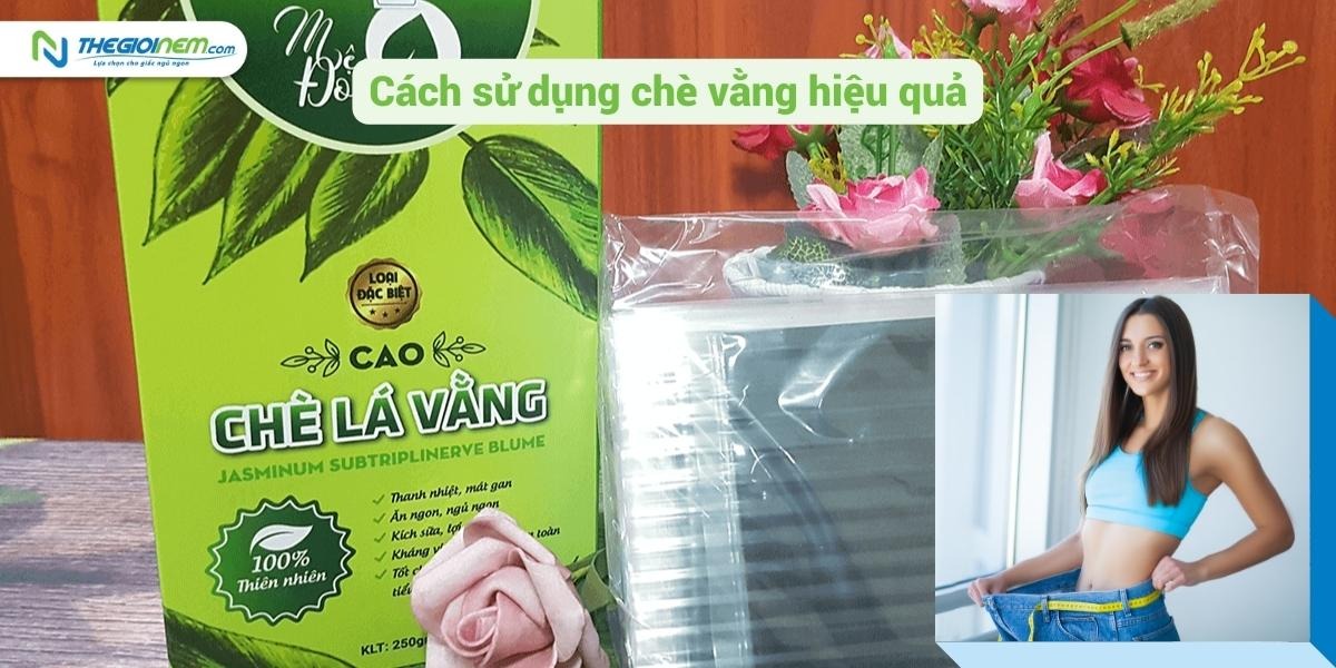 Bí quyết sử dụng chè vằng giảm cân mà mọi người nên biết