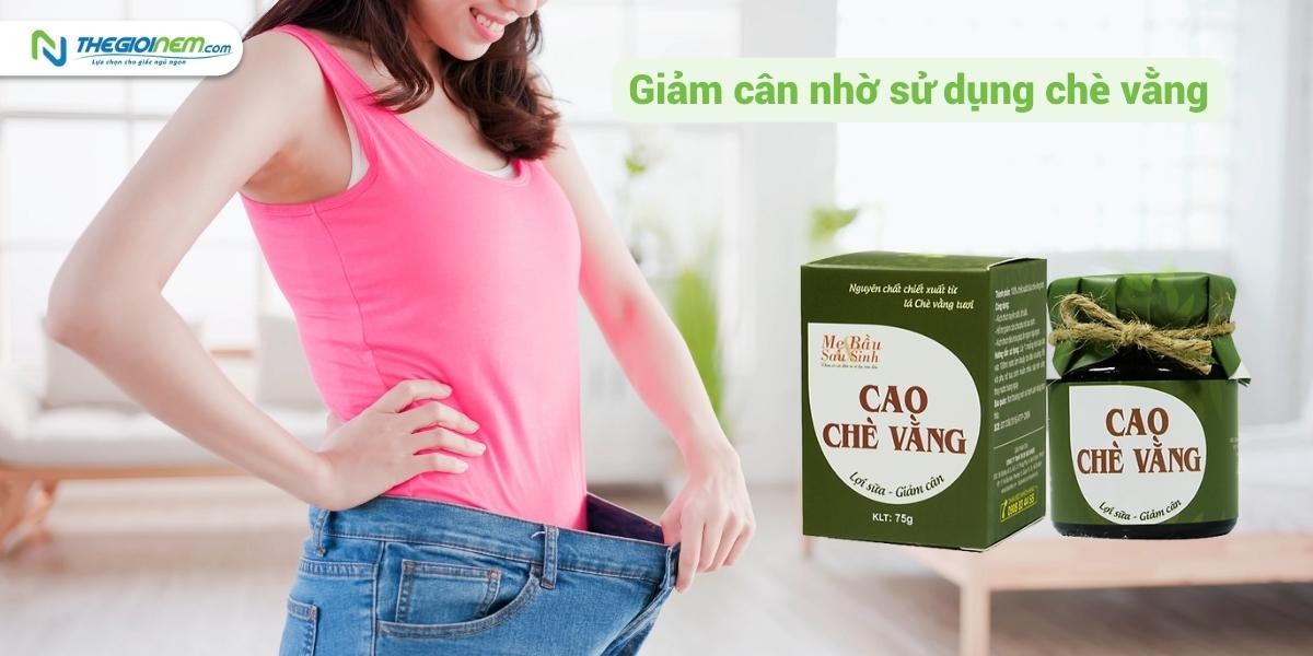 Bí quyết sử dụng chè vằng giảm cân mà mọi người nên biết