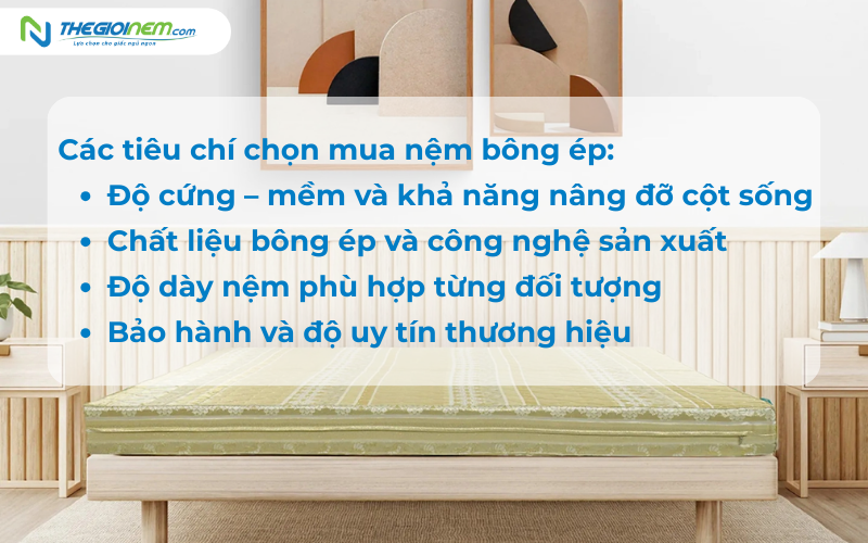 Các tiêu chí chọn mua nệm bông ép chuẩn người tiêu dùng thông minh