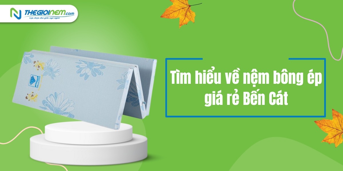 Cửa hàng bán nệm bông ép giá rẻ Bến Cát - Bình Dương