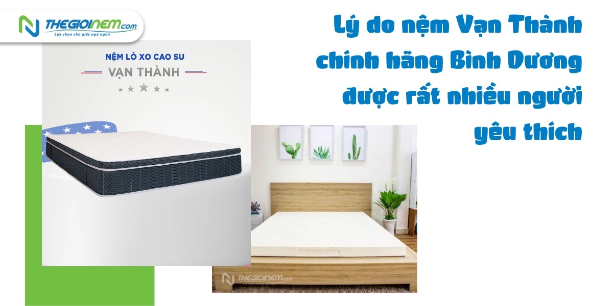 Cửa hàng bán nệm Vạn Thành chính hãng Bình Dương | Thegioinem.com