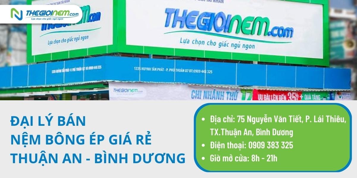 Đại lý bán nệm bông ép giá rẻ Thuận An - Bình Dương