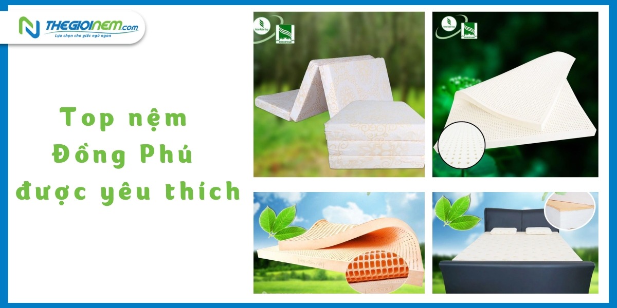 Đại lý bán nệm Đồng Phú tại Buôn Ma Thuột | Thegioinem.com