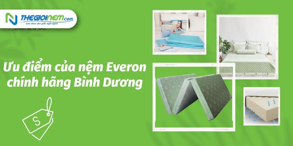 Đại lý nệm Everon chính hãng giá rẻ Bình Dương | Thegioinem.com