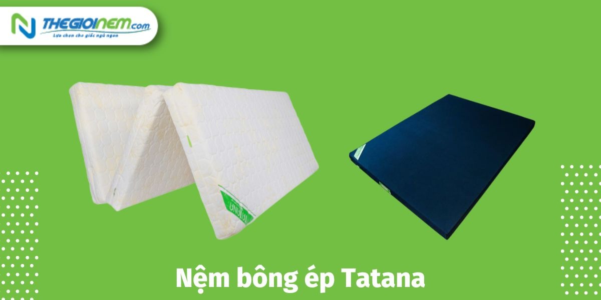 Đại lý nệm Tatana tại Bến Cát - Bình Dương | Thegioinem.com
