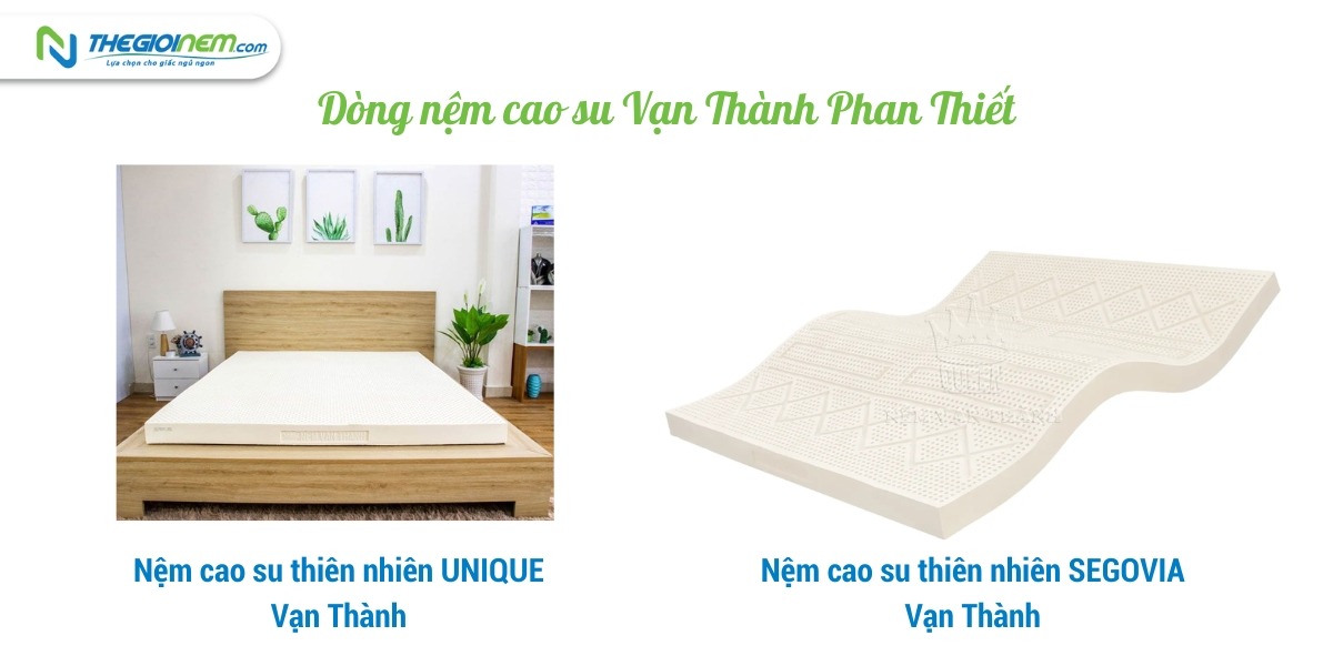 Đại lý nệm Vạn Thành Phan Thiết chất lượng, giá tốt - Thegioinem.com