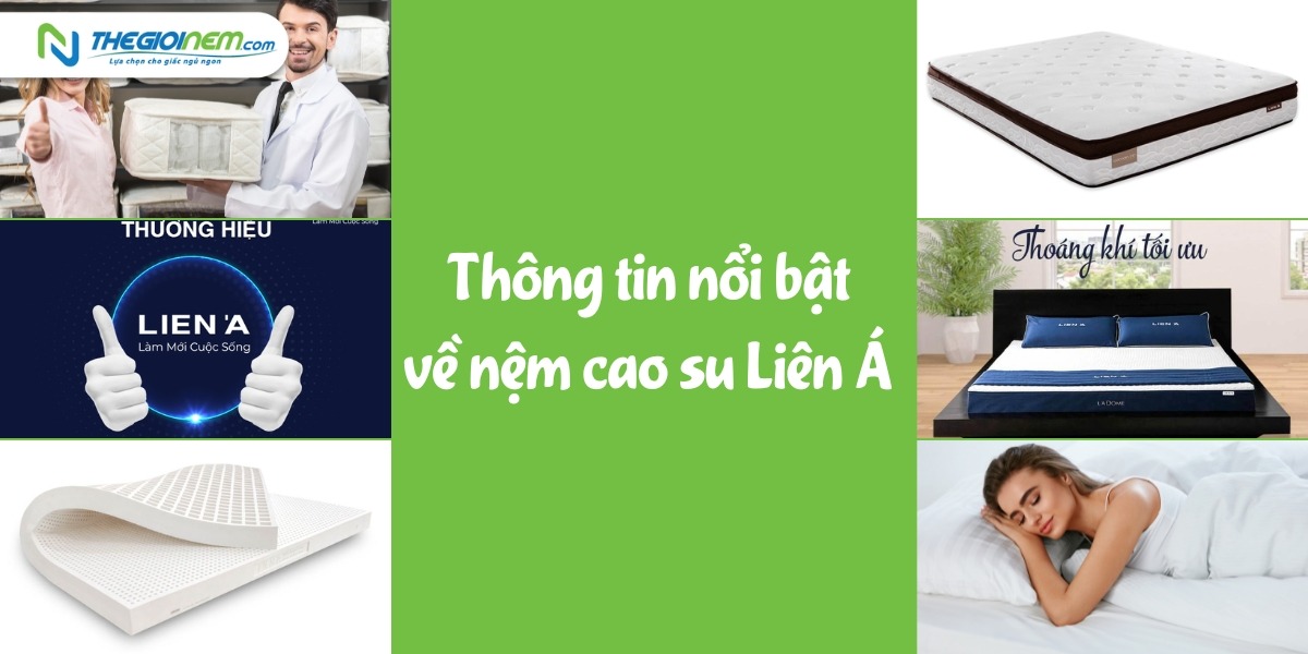 Địa chỉ cửa hàng bán nệm cao su Liên Á Bình Dương | Thegioinem.com