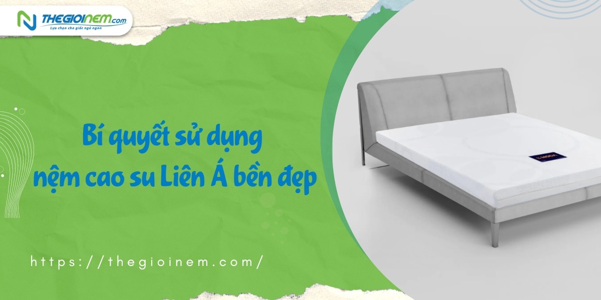 Địa chỉ cửa hàng bán nệm cao su Liên Á Bình Dương | Thegioinem.com