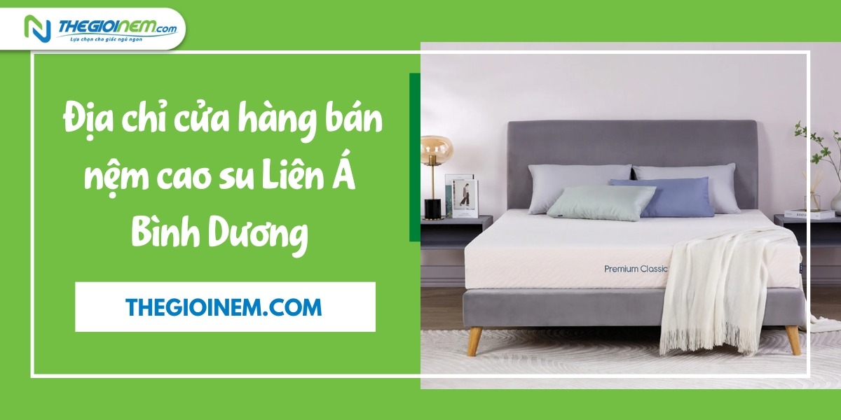 Địa chỉ cửa hàng bán nệm cao su Liên Á Bình Dương | Thegioinem.com