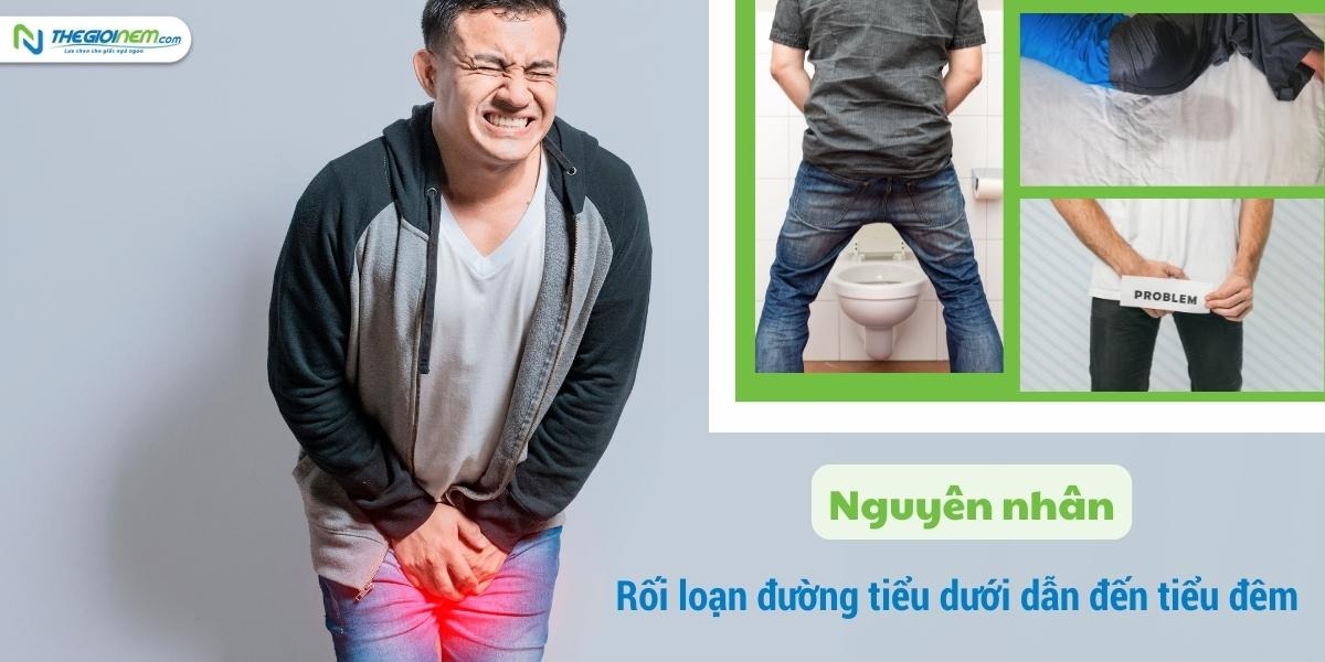 Hội chứng tiểu đêm | Các nguyên nhân và cách khắc phục triệt để
