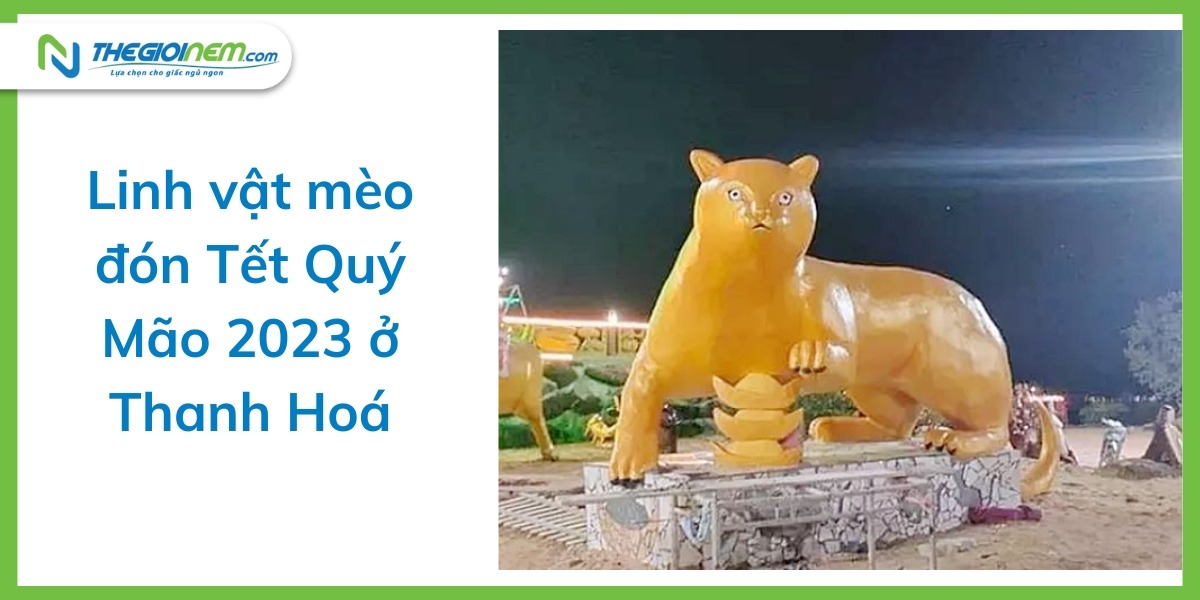 Linh vật mèo Tết Quý Mão 2023 ở các địa phương gây sốt cộng đồng