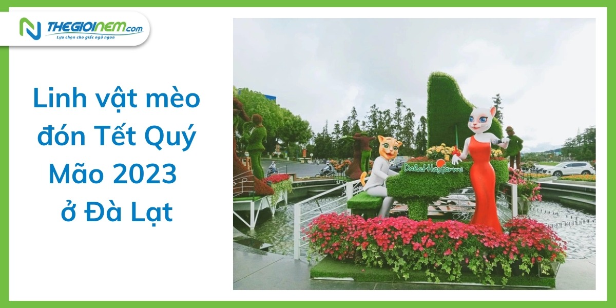Linh vật mèo Tết Quý Mão 2023 ở các địa phương gây sốt cộng đồng