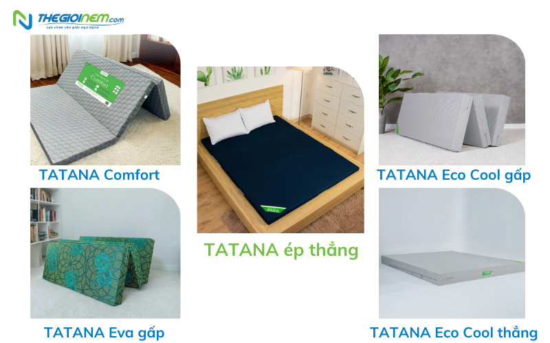Nệm bông ép Tatana