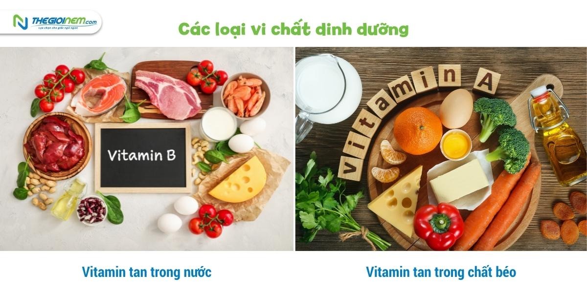 Như thế nào là vi chất dinh dưỡng? Những lợi ích đối với sức khỏe