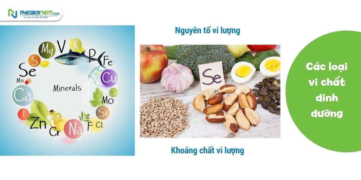 Như thế nào là vi chất dinh dưỡng? Những lợi ích đối với sức khỏe