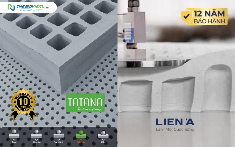 Thời gian bảo hành nệm TATANA và Liên Á