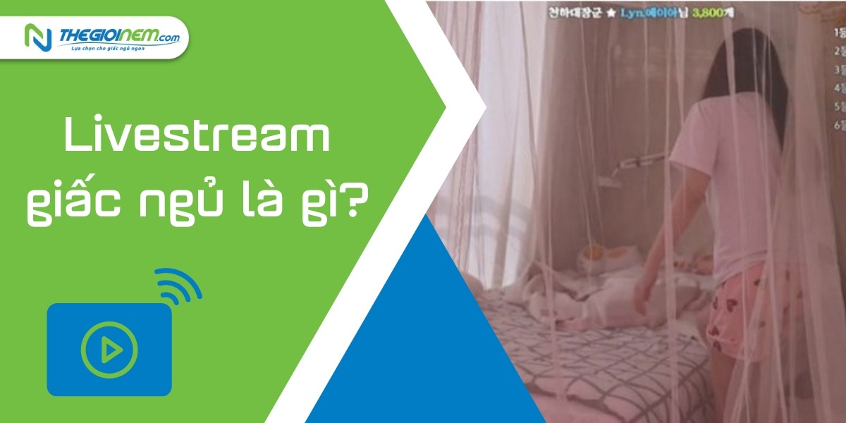 Tìm hiểu về trào lưu livestream giấc ngủ để kiếm tiền