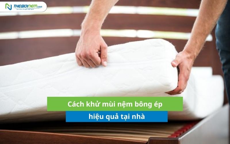 Cách khử mùi hôi nệm bông ép hiệu quả 1