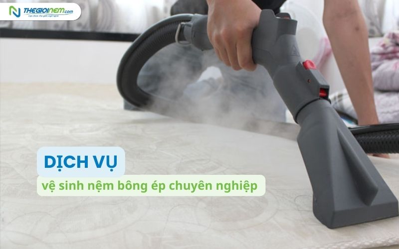 Cách khử mùi hôi nệm bông ép hiệu quả 5