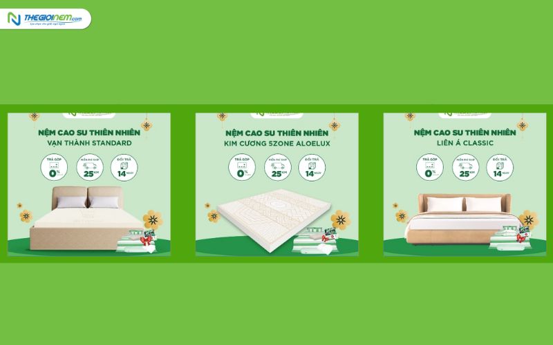 Cửa hàng bán nệm cao su chính hãng Tiền Giang - Thế Giới Nệm