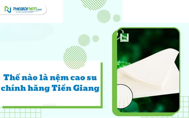 Cửa hàng bán nệm cao su chính hãng Tiền Giang - Thế Giới Nệm