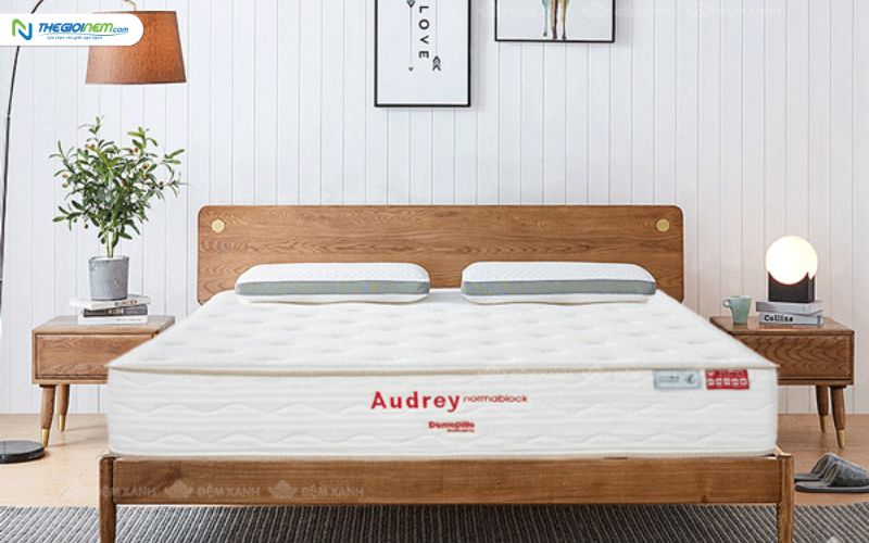 Đại Lý Nệm Lò Xo Dunlopillo Tại 132 Lê Duẩn, An Phước, Long Thành, Đồng Nai