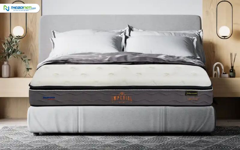 Đại Lý Nệm Lò Xo Dunlopillo Tại 132 Lê Duẩn, An Phước, Long Thành, Đồng Nai