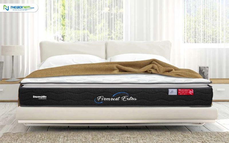 Đại Lý Nệm Lò Xo Dunlopillo Tại 132 Lê Duẩn, An Phước, Long Thành, Đồng Nai