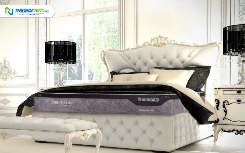 Đại Lý Nệm Lò Xo Dunlopillo Tại 132 Lê Duẩn, An Phước, Long Thành, Đồng Nai